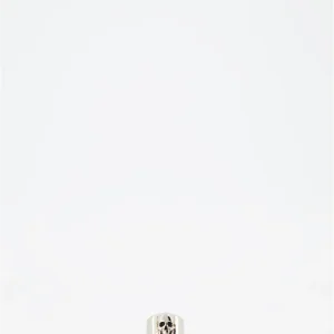 Bague Skull