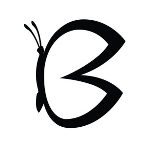 Filtres pour microdermabrasion B-Derma Plus