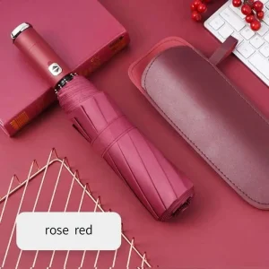 Parapluie lumineux avec lampe LED – Bourgogne